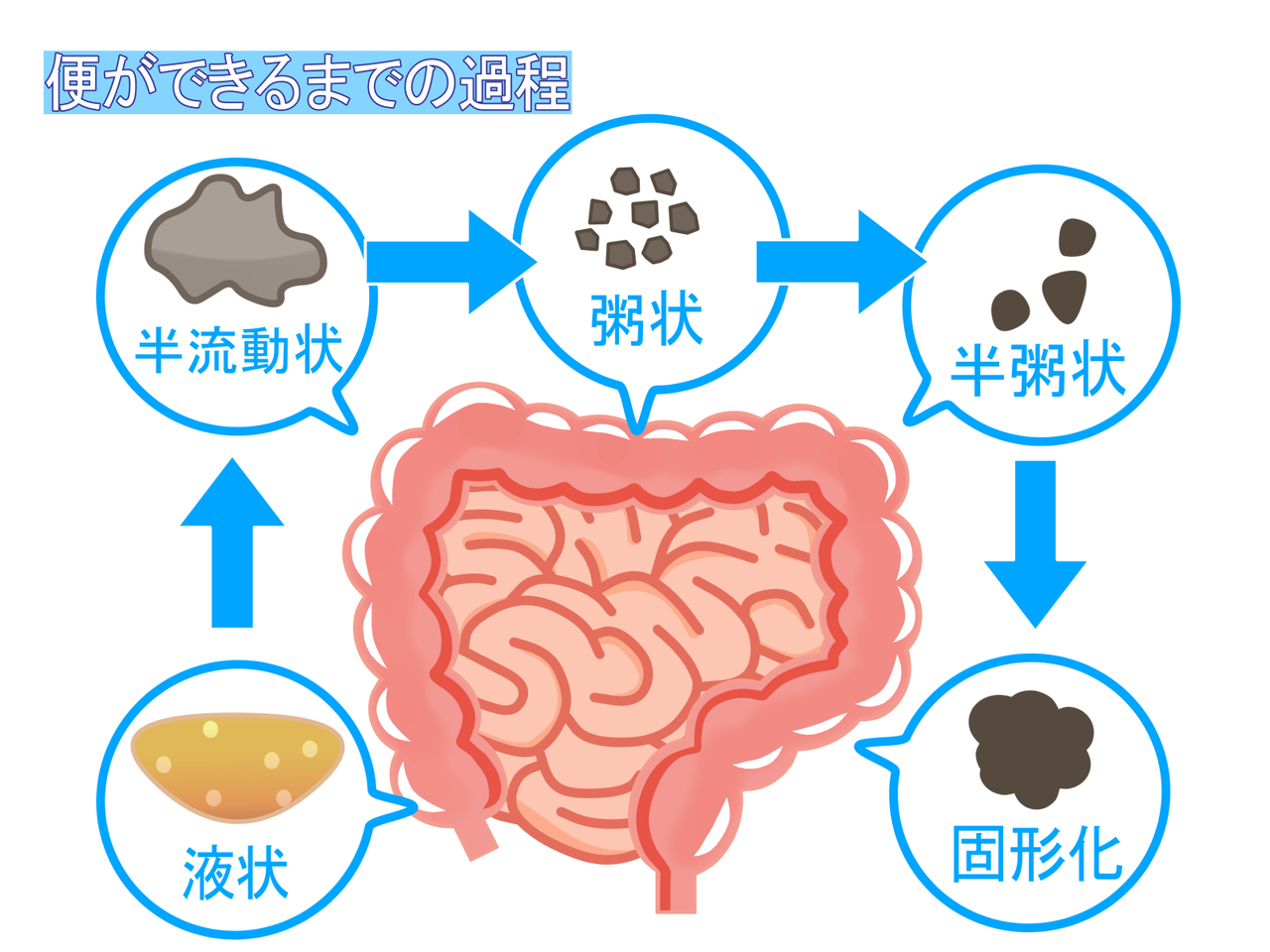 骨盤調整